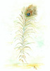 2000